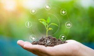 Soil Testing - Image 3