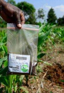 Soil Testing - Image 4