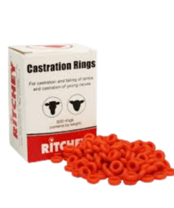 Elastrator Castrating Pliers - Image 2