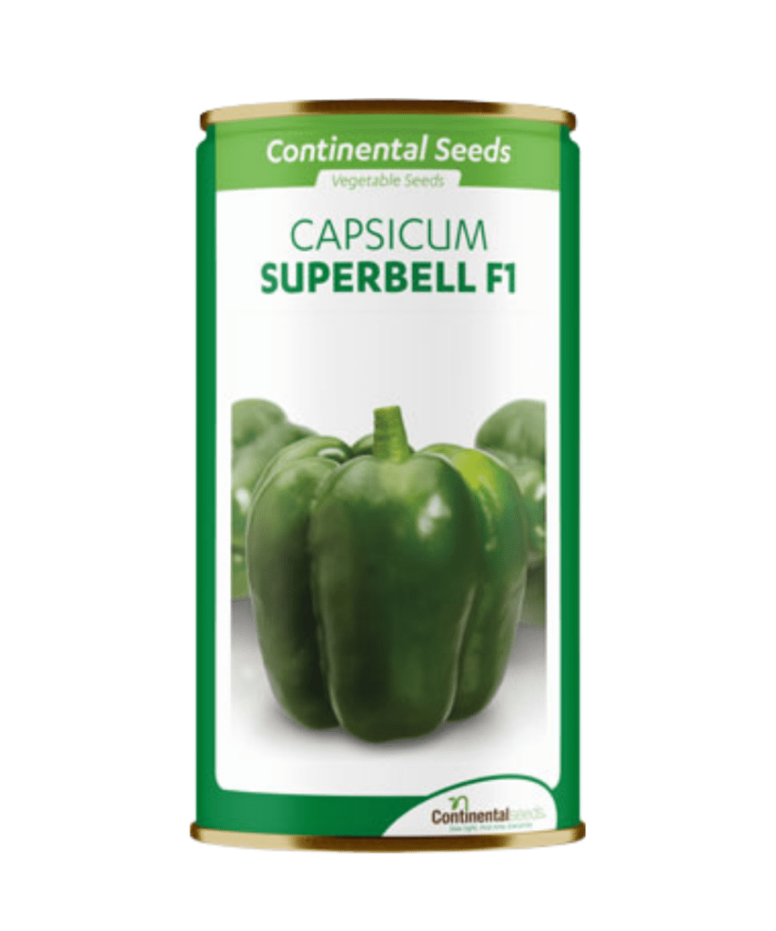 Capsicum super bell F1 Buy now at Chemsasa