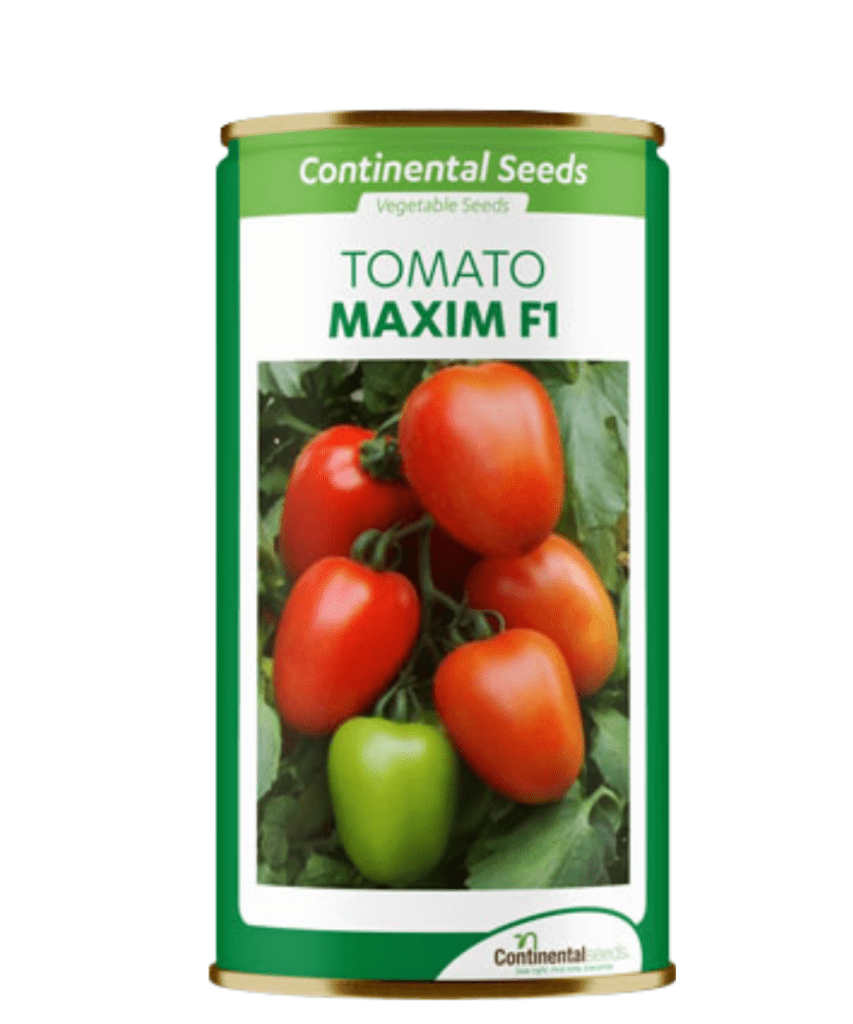 Tomato Maxim F1 Buy now at Chemsasa