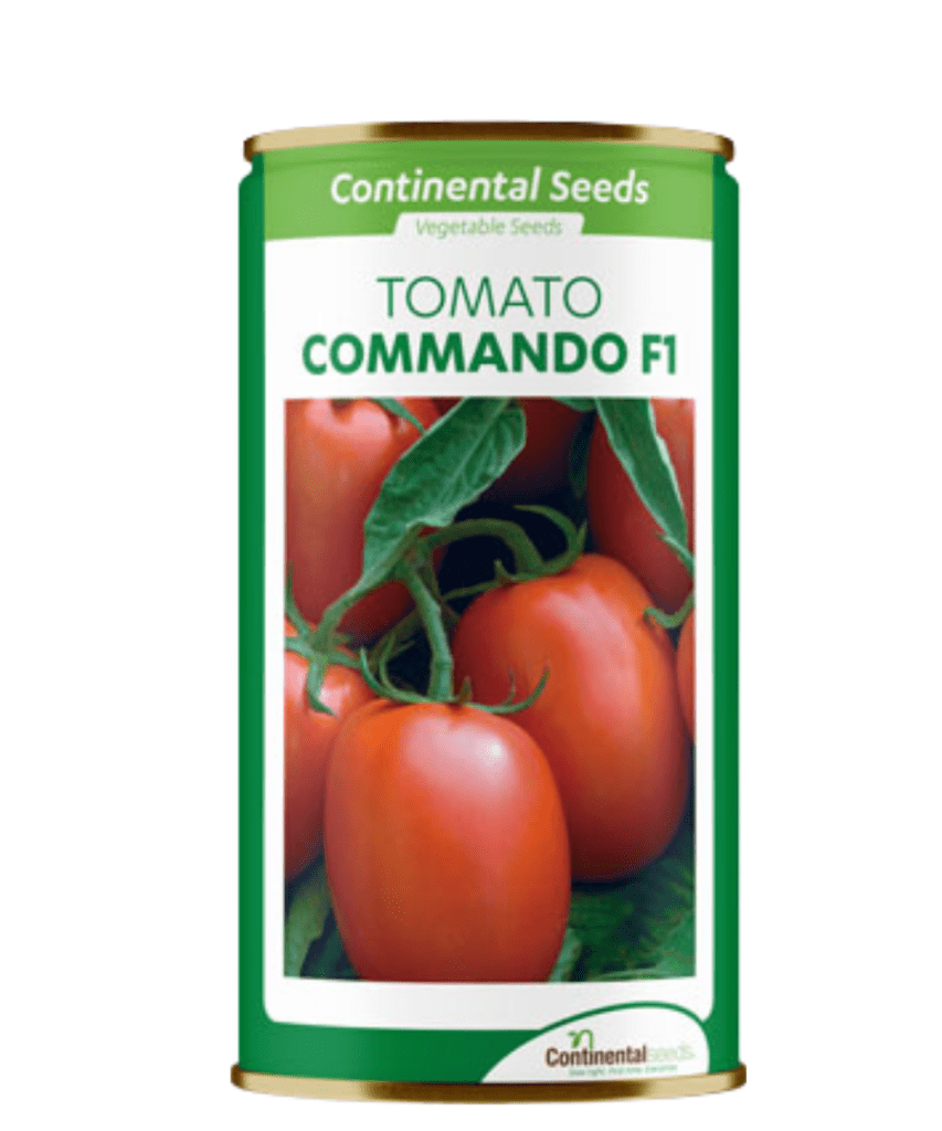 Tomato commando F1 Buy now at Chemsasa