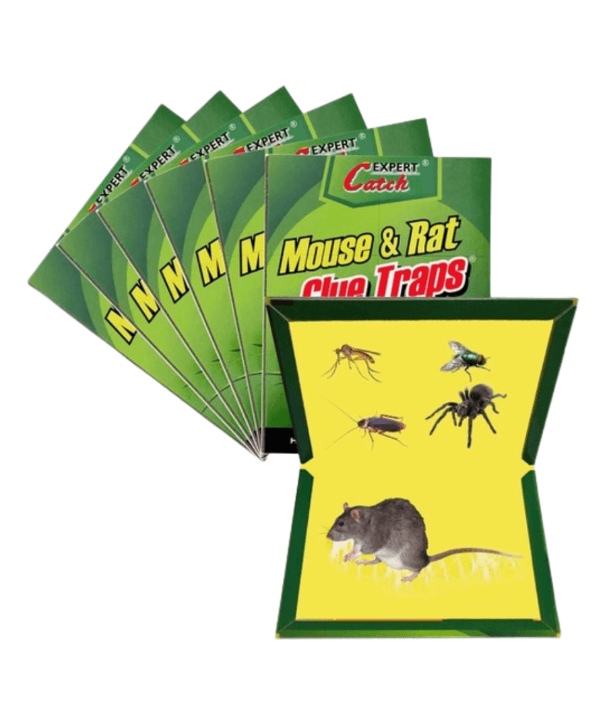 Mouse & rat now at Chemsasa