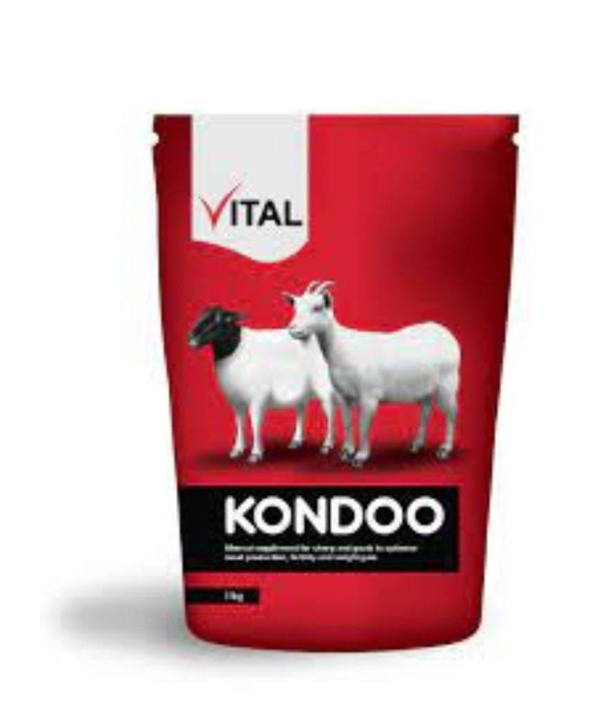 Vital Kondoo supplement