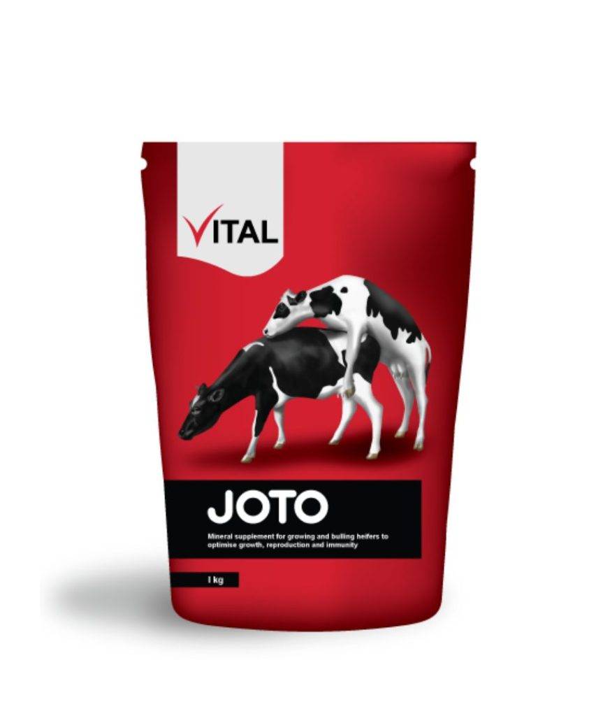 Vital joto Mineral
