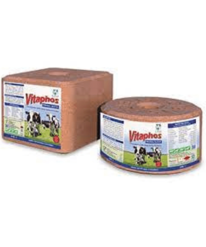 Vitaphos Mineral Block