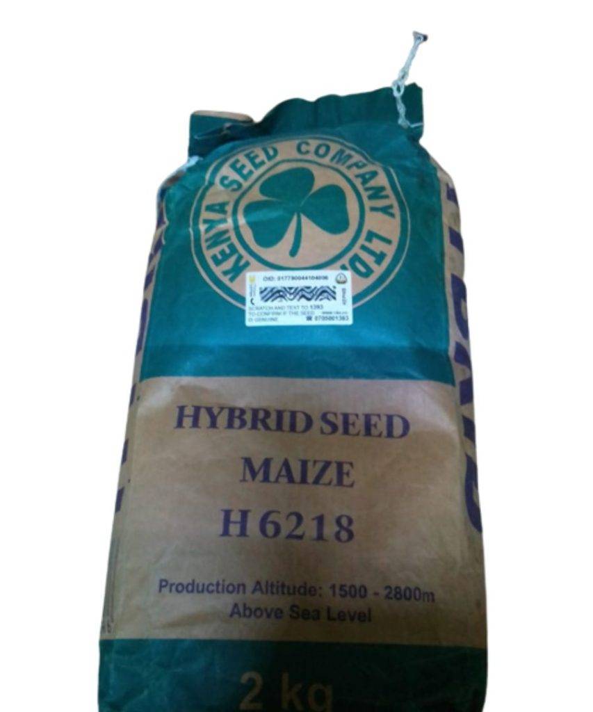 H6218 hybrid maize seeds