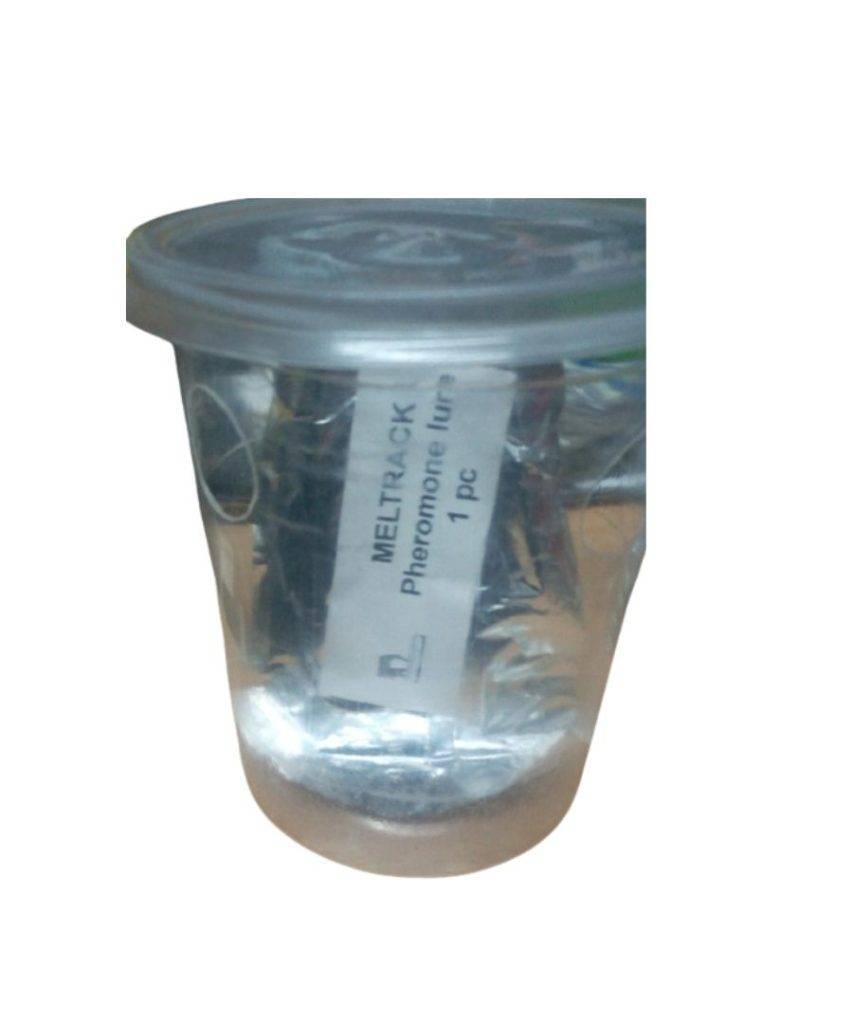 Meltrack Fruit fly trap