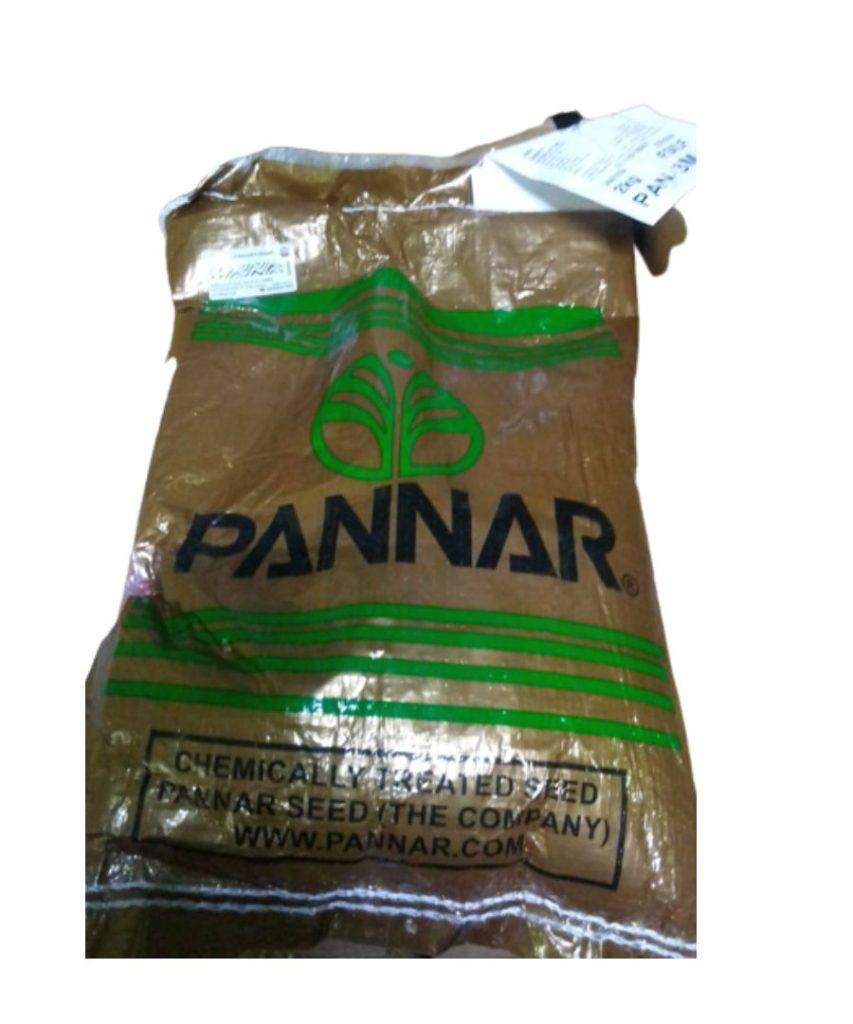 Pannar maize seeds