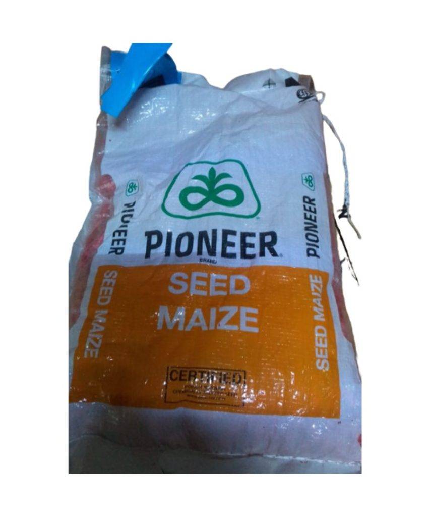 Pioneer maize seeds