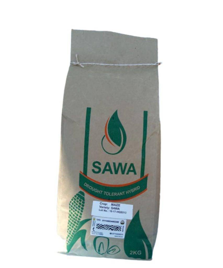 Sawa maize seeds