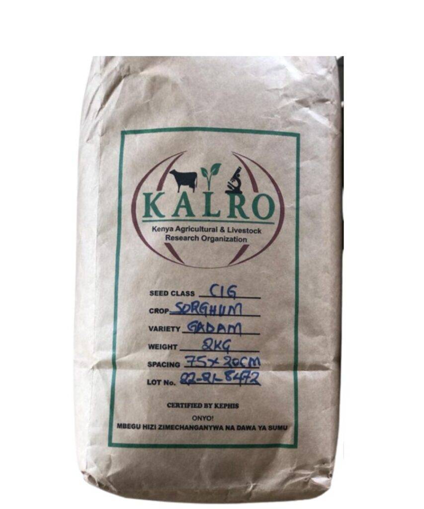 KALRO Sorghum Gadam Seeds