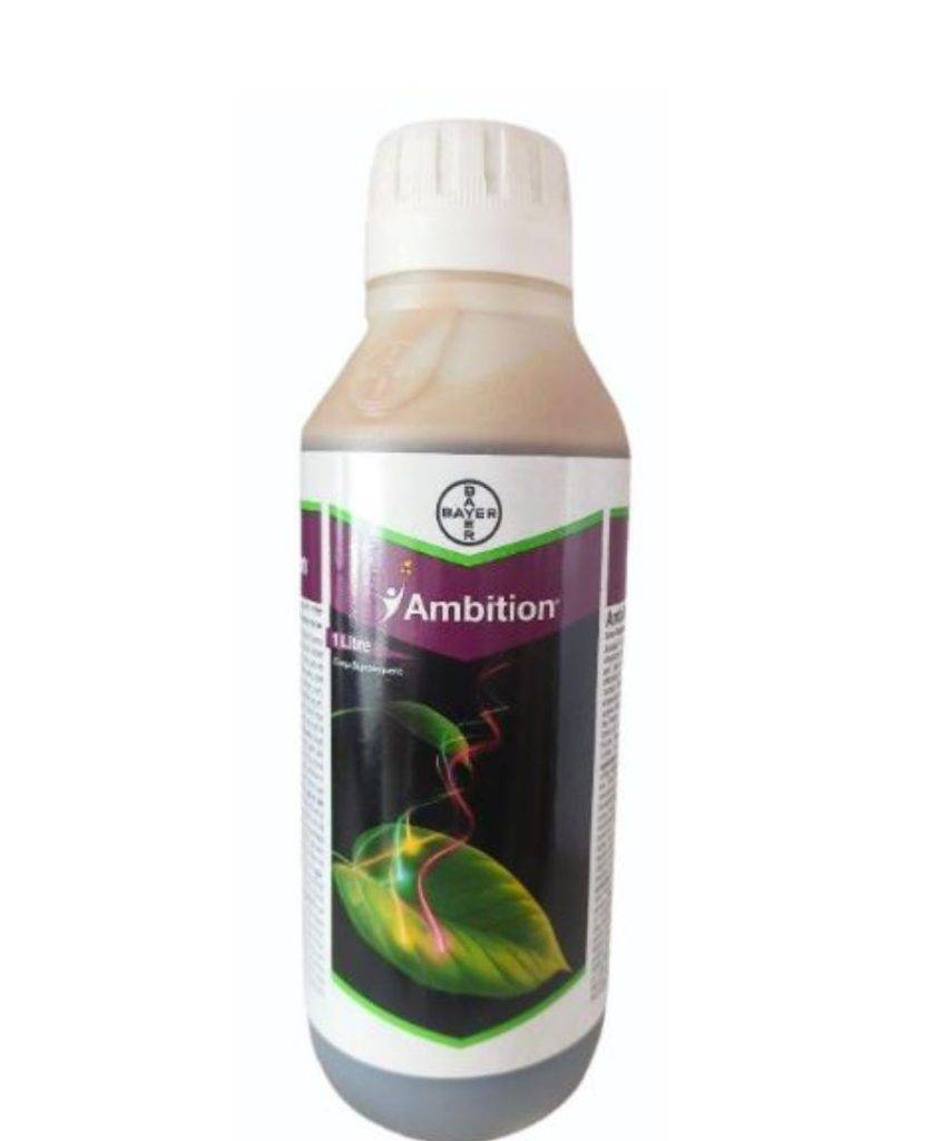 Ambition Aktivator 1L